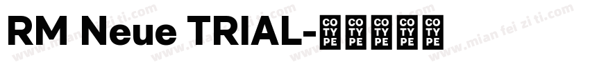 RM Neue TRIAL字体转换